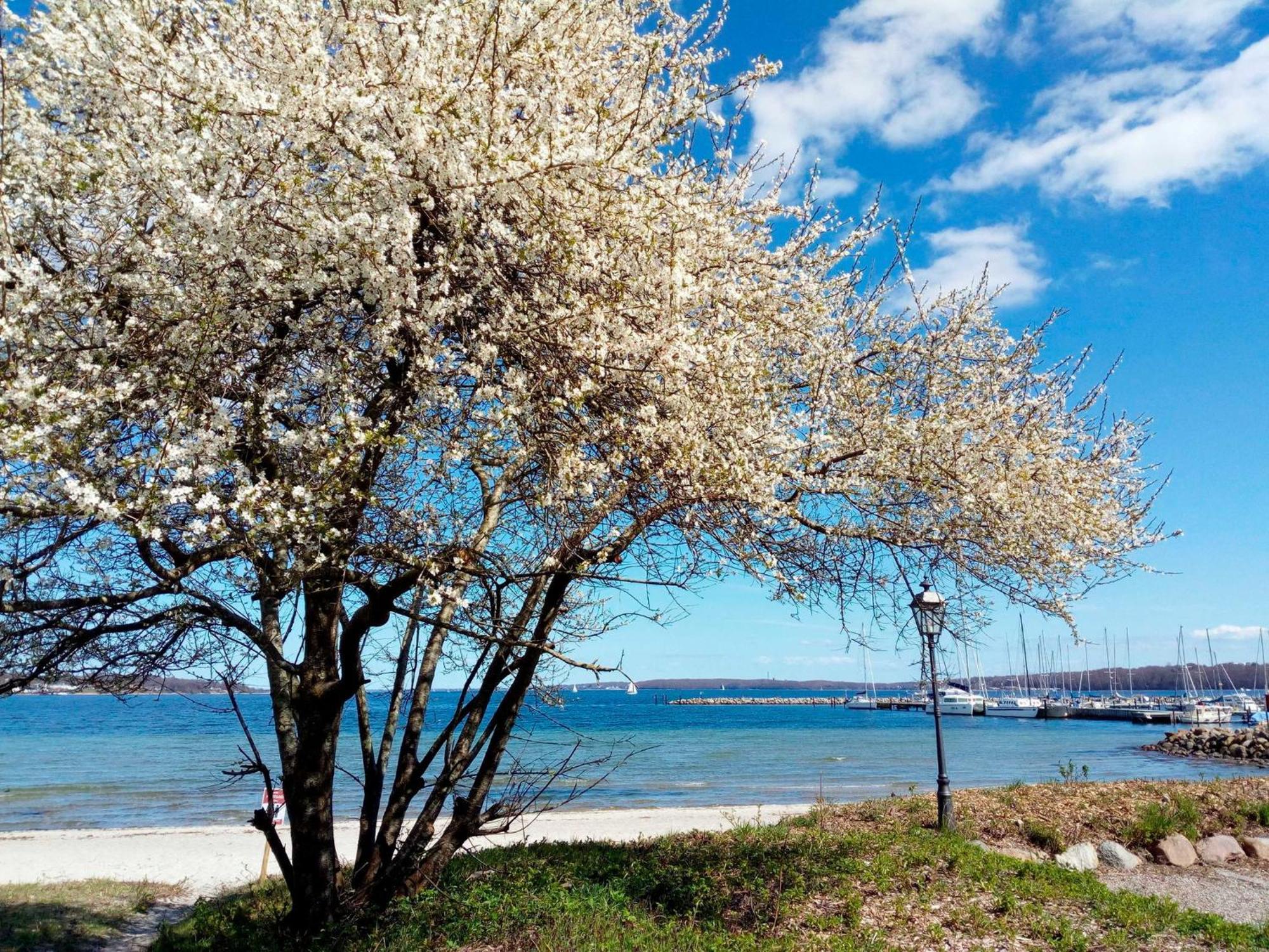 Appartement Foerdeblick Am Strand Von Wassersleben App 631 하리슬리 외부 사진